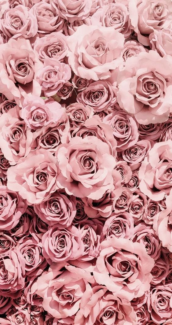 80 Best Rose Gold Wallpapers For iPhone | IdeasToKnow
