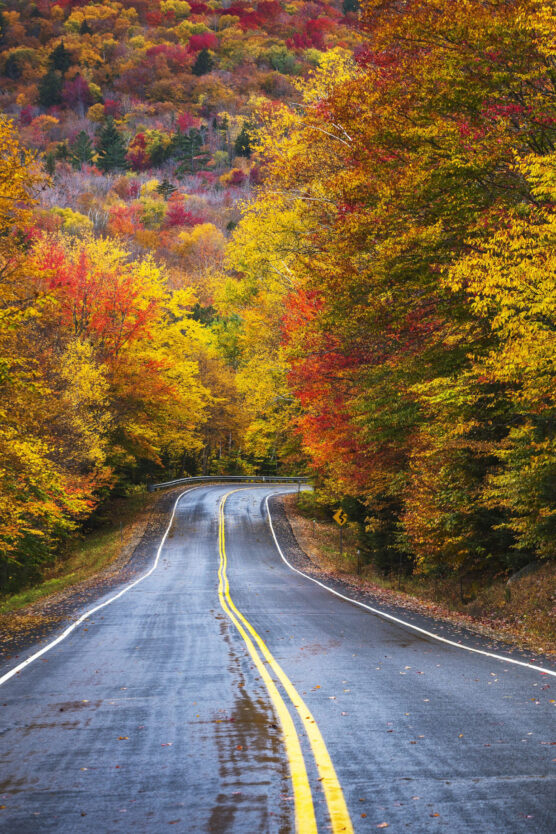 50+ Best Free Autumn Wallpaper Options for iPhone | IdeasToKnow