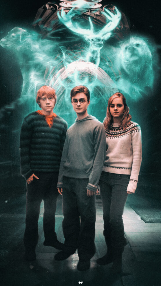 Harry Potter wallpaper by toshpond on DeviantArt